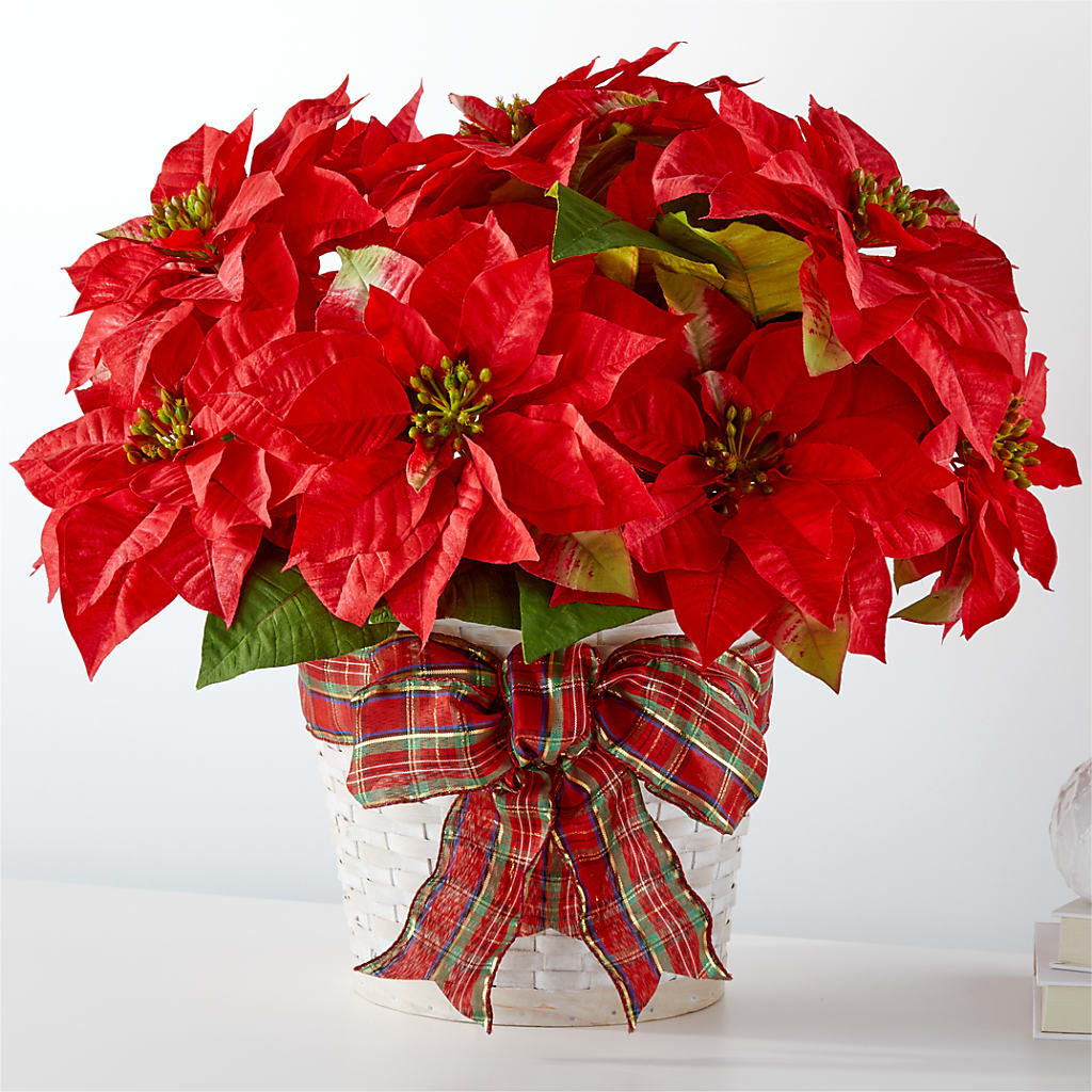 Happiest Holidays Poinsettia – My Florist, Calgary AB