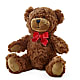 Adorable Plush Bear – My Florist, Calgary AB