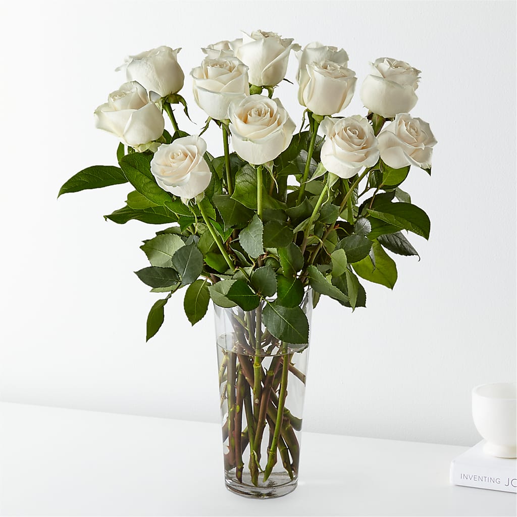 Long Stem White Rose Bouquet – My Florist, Calgary AB