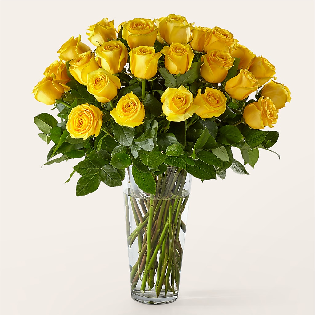 Long Stem Yellow Rose Bouquet – My Florist, Calgary AB
