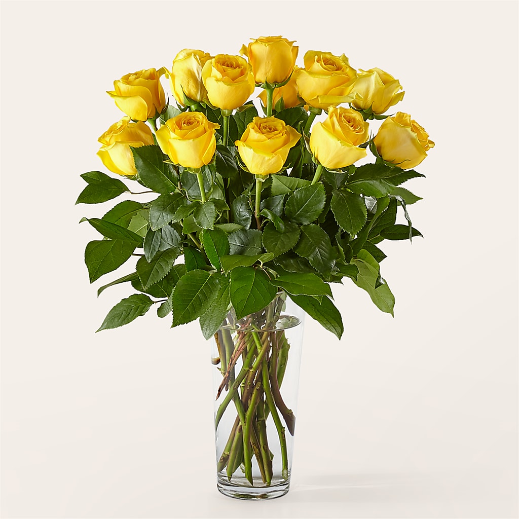 Long Stem Yellow Rose Bouquet – My Florist, Calgary AB