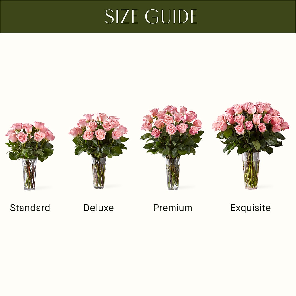 Long Stem Pink Rose Bouquet – My Florist, Calgary AB