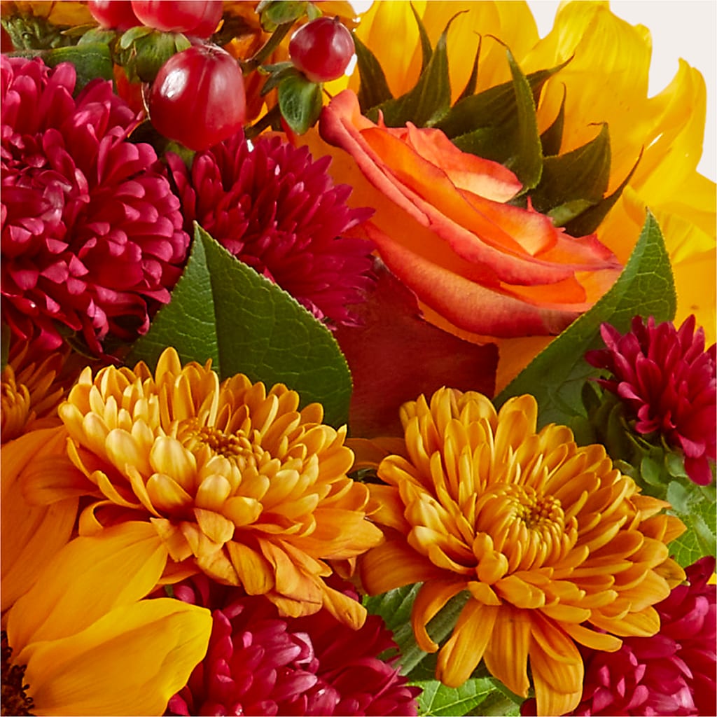 Sweater Season - A Florist Original – My Florist, Calgary AB