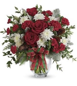 Holiday Shine – My Florist, Calgary AB