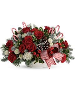 Jolly Candy Cane – My Florist, Calgary AB