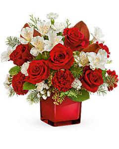 Scarlet splendor – My Florist, Calgary AB
