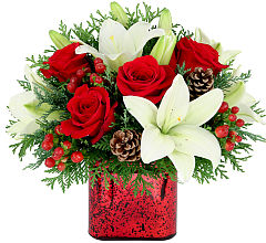 All I want for Christmas – My Florist, Calgary AB