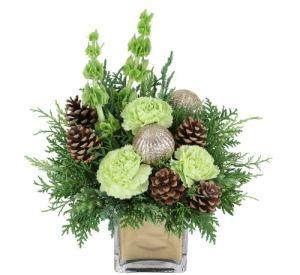 Navidad de Wintergreen
