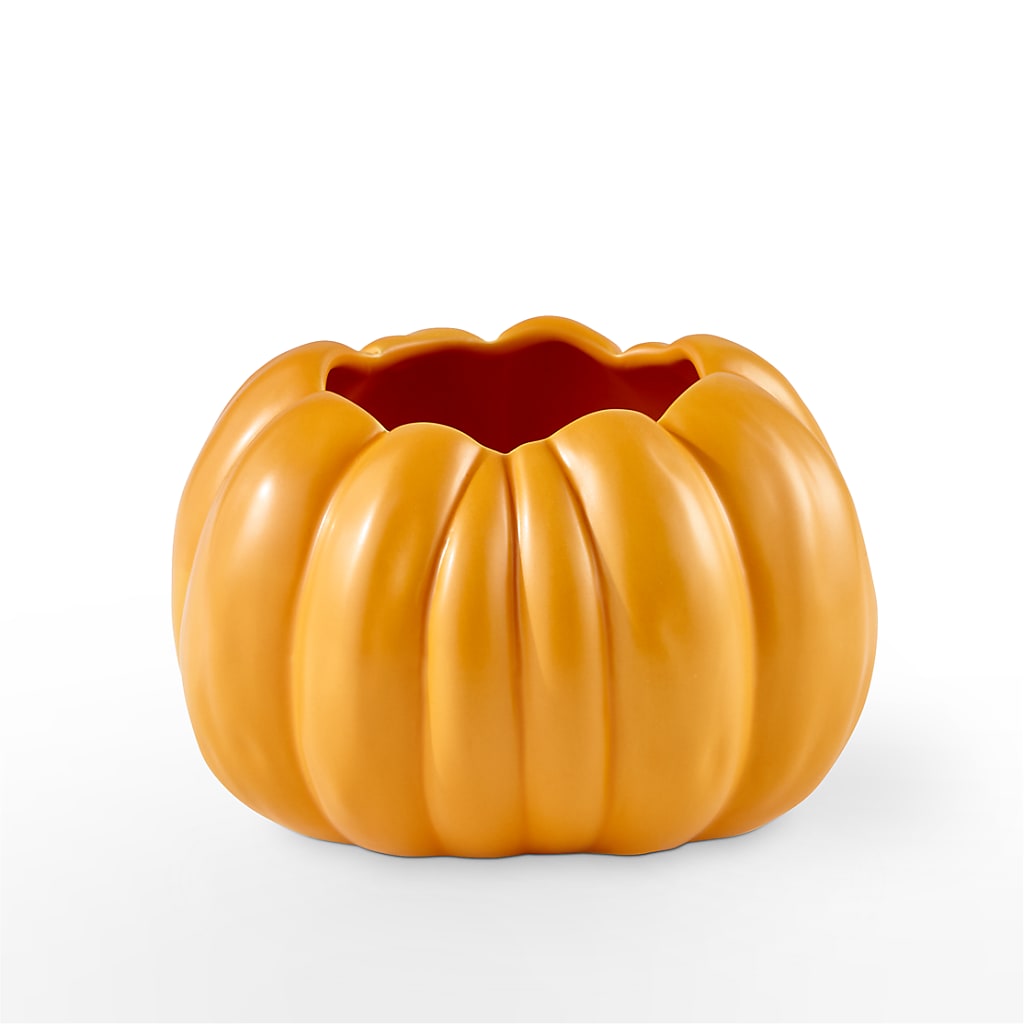 Pick of the Patch Pumpkin Bouquet – My Florist, Calgary AB