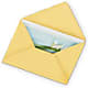 Greeting Card – My Florist, Calgary AB