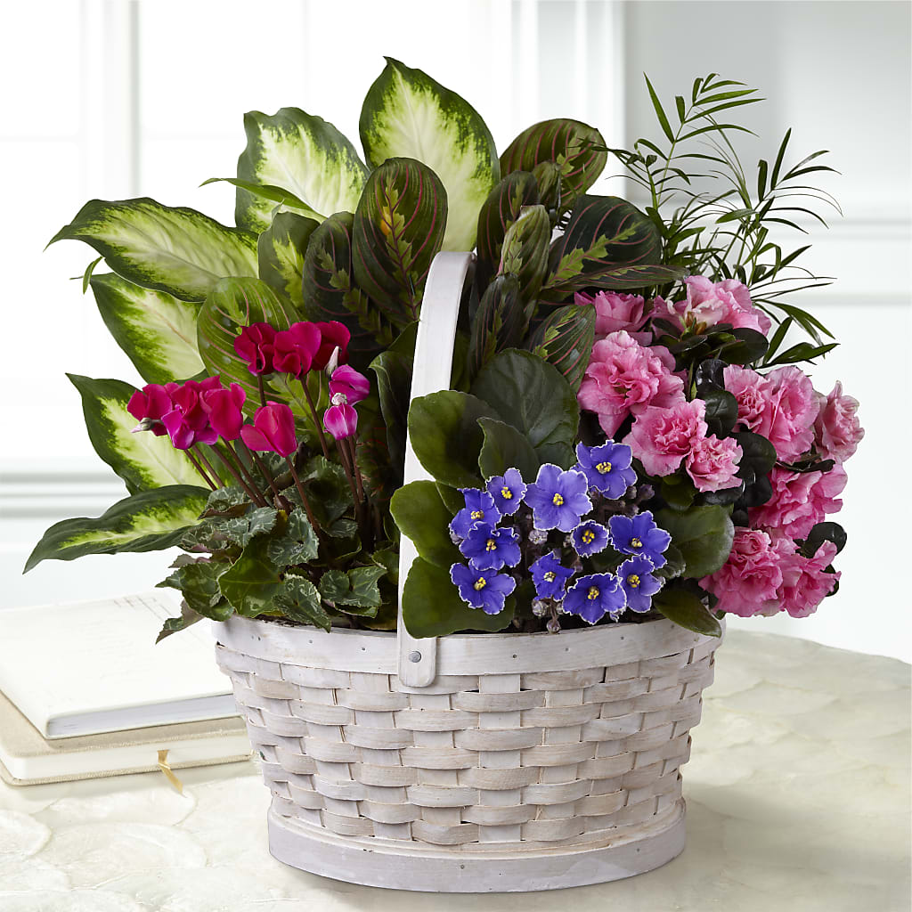 Peaceful Garden Planter – My Florist, Calgary AB