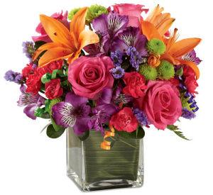Birthday Cheer – My Florist, Calgary AB