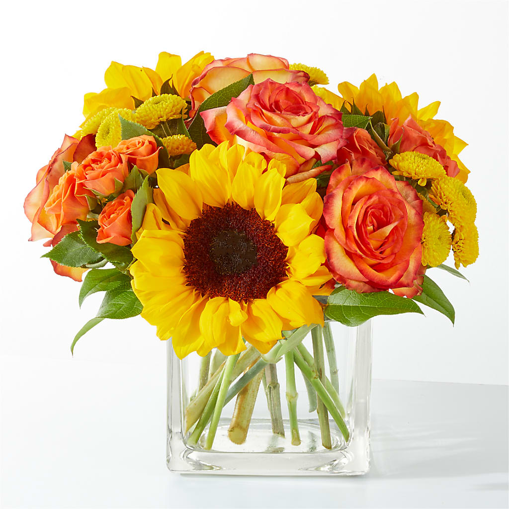 Picnic in the Park Bouquet – My Florist, Calgary AB
