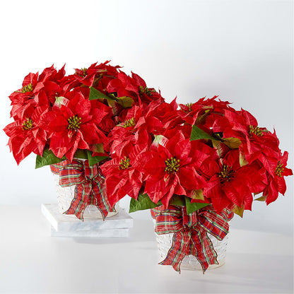 Happiest Holidays Poinsettia Bundle –  My Florist, Calgary AB