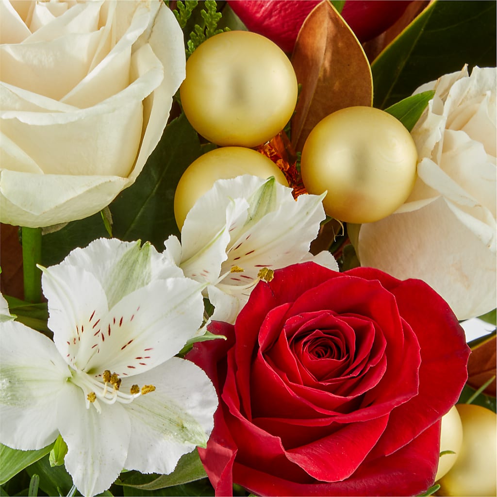 Joy & Jolly Bouquet –  My Florist, Calgary AB