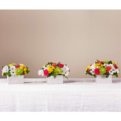 Sorbet Bouquet –  My Florist, Calgary AB