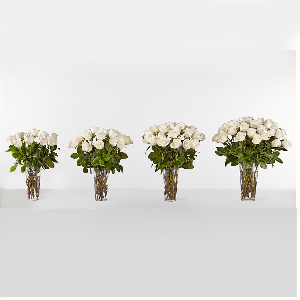 Long Stem White Rose Bouquet –  My Florist, Calgary AB