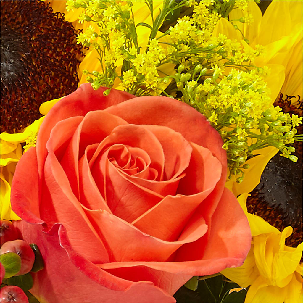 Pick of the Patch Pumpkin Bouquet –  My Florist, Calgary AB