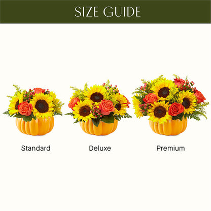 Pick of the Patch Pumpkin Bouquet –  My Florist, Calgary AB