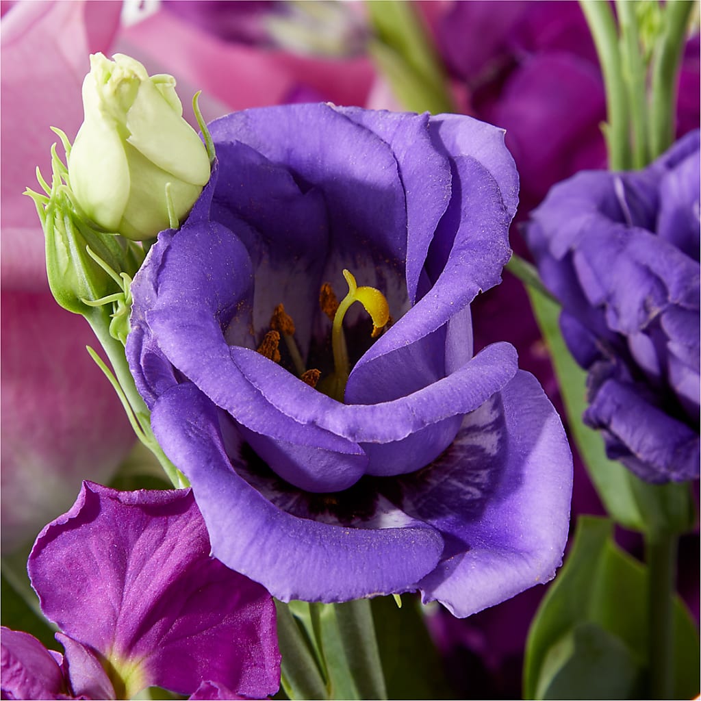 Twilight Glow Bouquet –  My Florist, Calgary AB