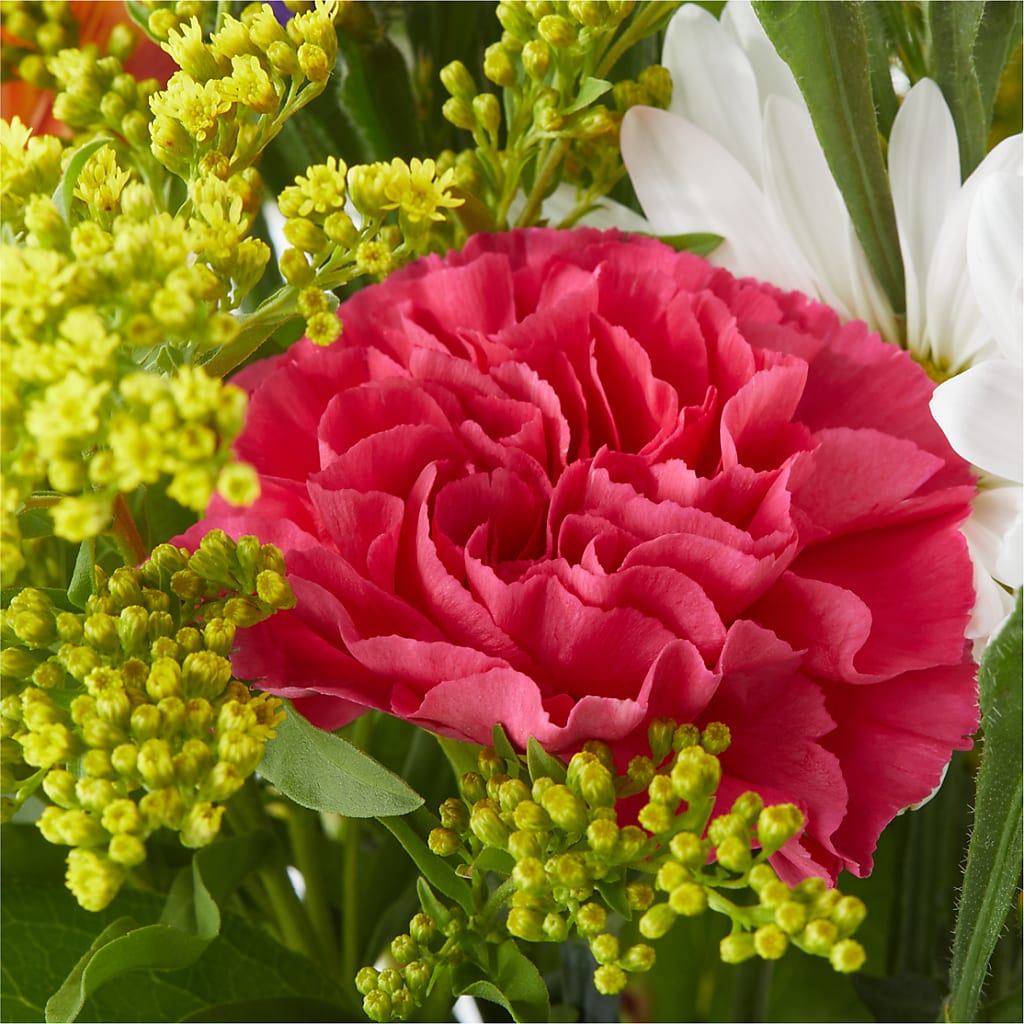 Oopsie Daisy Bouquet –  My Florist, Calgary AB