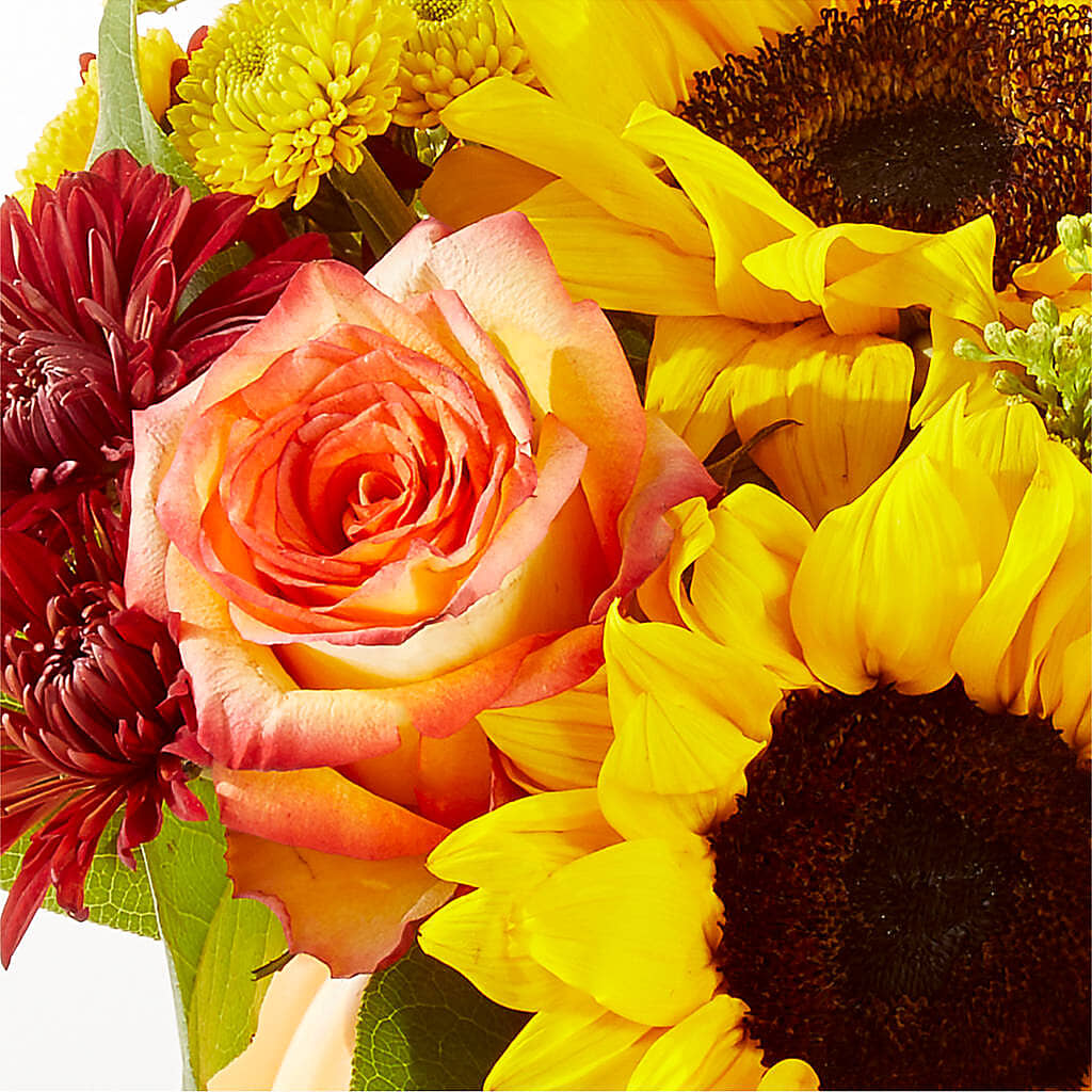 Golden Gourd Pumpkin Bouquet –  My Florist, Calgary AB