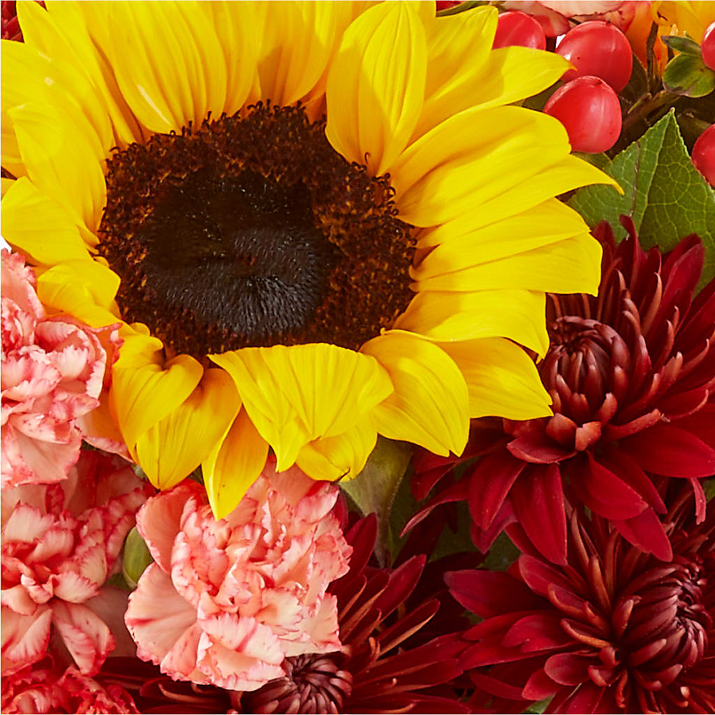 Fresh Cider Bouquet –  My Florist, Calgary AB
