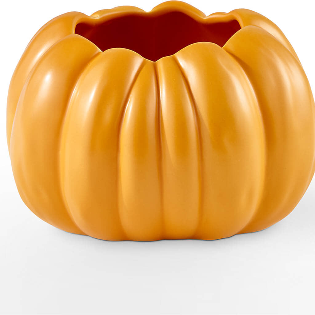 Golden Gourd Pumpkin Bouquet –  My Florist, Calgary AB