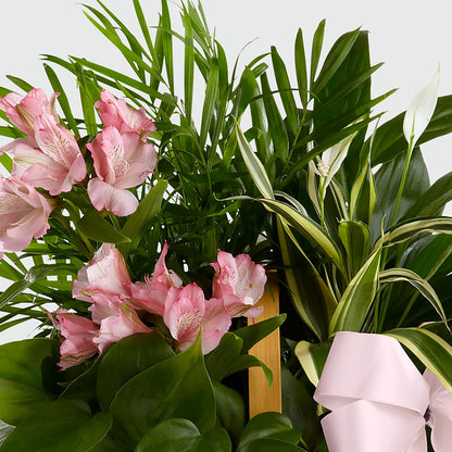 Living Spirit Dishgarden –  My Florist, Calgary AB