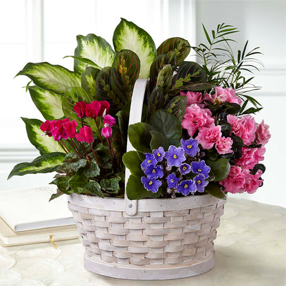 Peaceful Garden Planter –  My Florist, Calgary AB