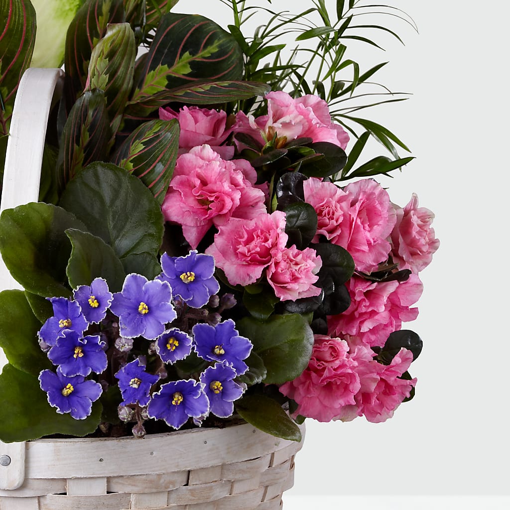 Peaceful Garden Planter –  My Florist, Calgary AB