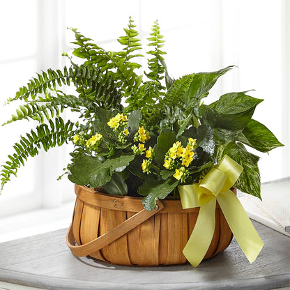 Always Dear Dishgarden –  My Florist, Calgary AB