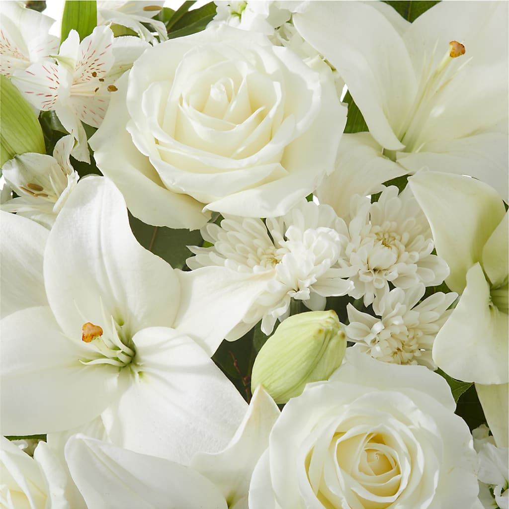 Peaceful Reflections Arrangement –  My Florist, Calgary AB