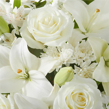 Peaceful Reflections Arrangement –  My Florist, Calgary AB