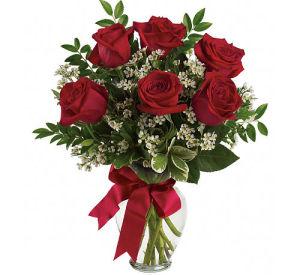 Thoughts of you 6 –  My Florist, Calgary AB
