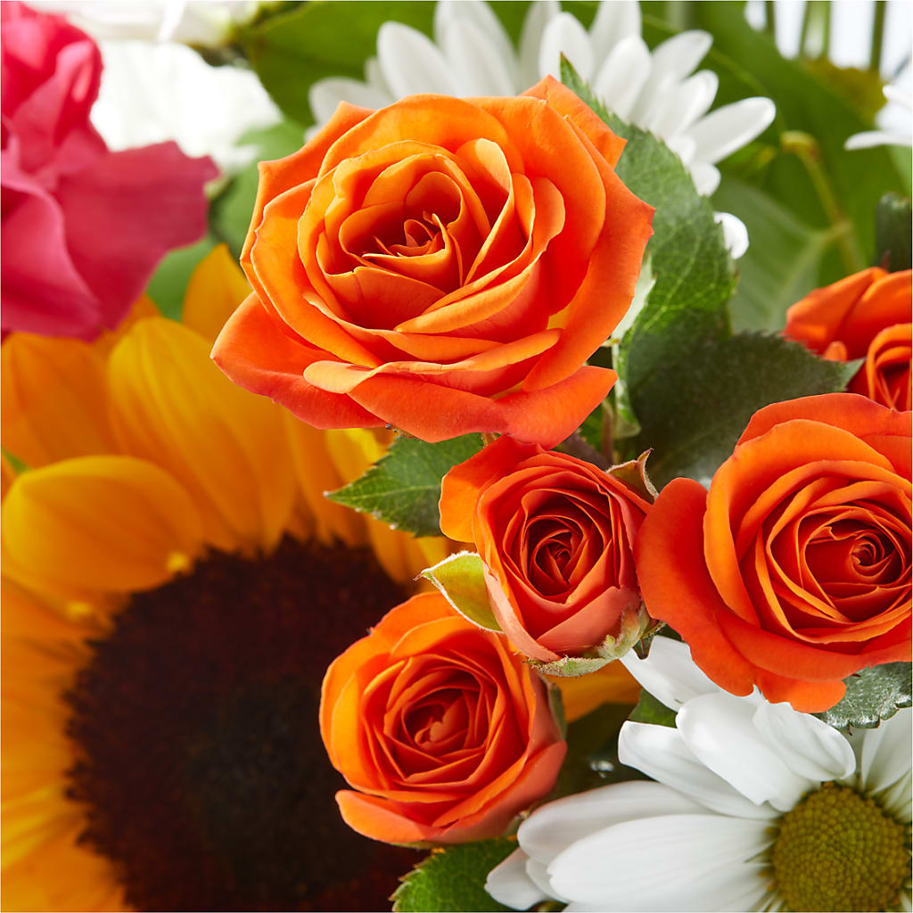 Sun-drenched Blooms Bouquet –  My Florist, Calgary AB