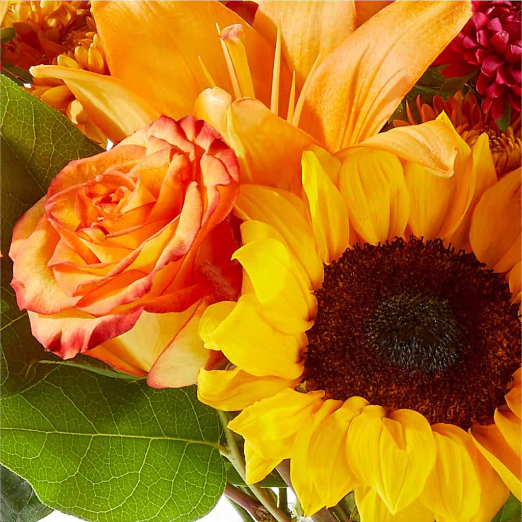 Fall Day Bouquet –  My Florist, Calgary AB