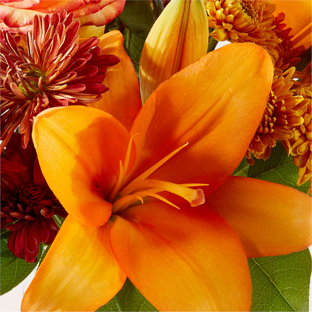 Autumnal Aroma Bouquet –  My Florist, Calgary AB