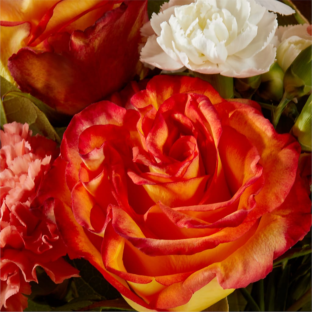 Apricot Glow Bouquet –  My Florist, Calgary AB