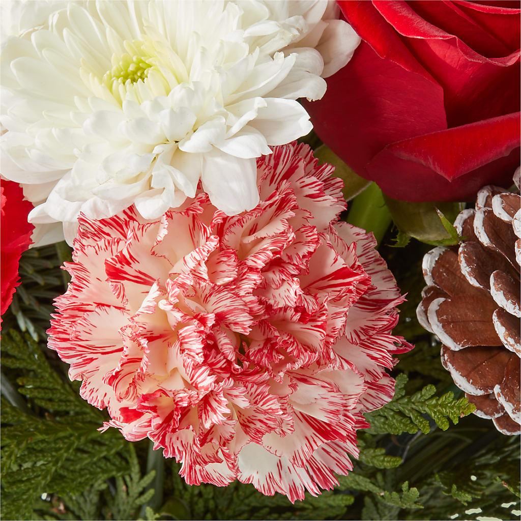 Candy Cane Lane Bouquet –  My Florist, Calgary AB
