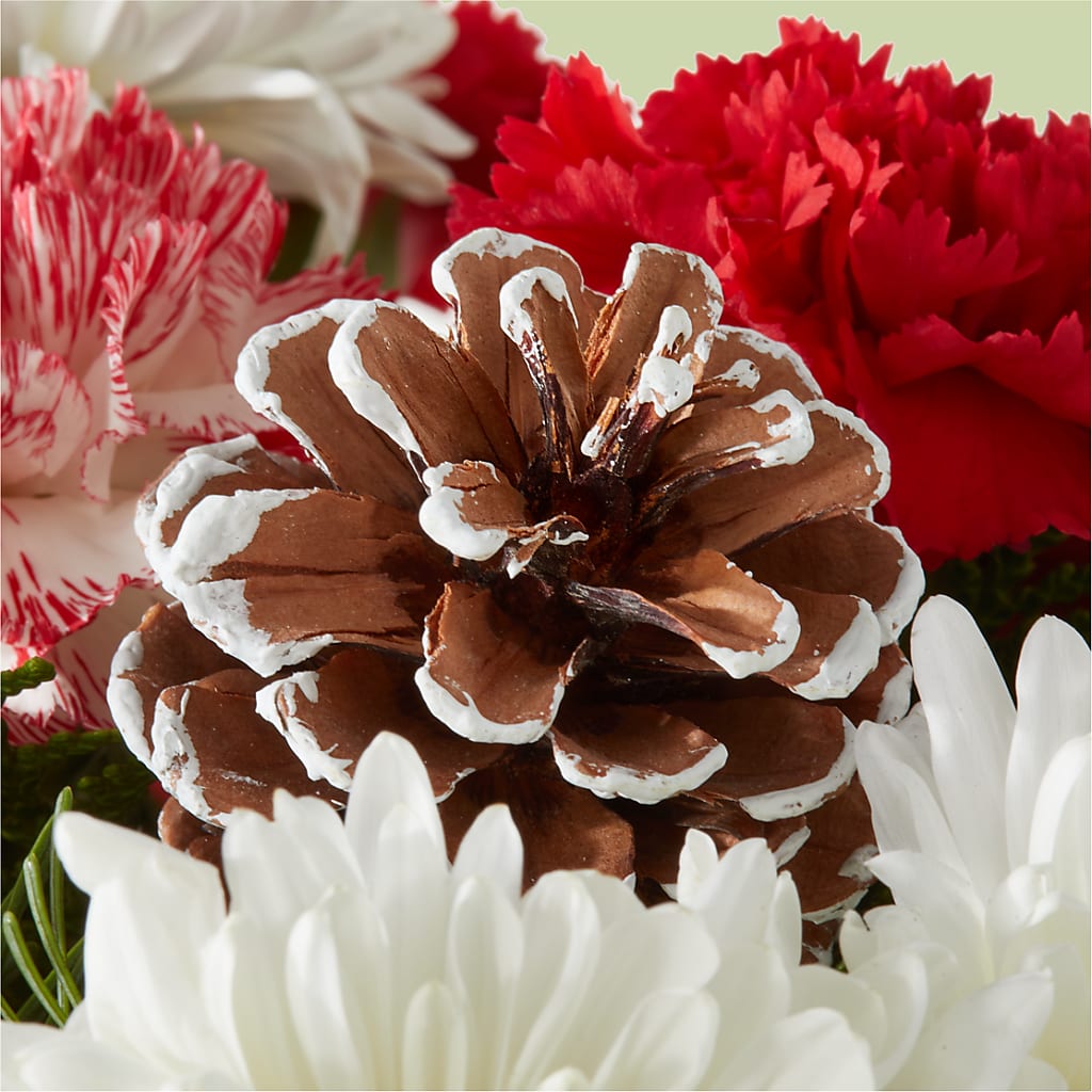 Candy Cane Lane Bouquet –  My Florist, Calgary AB