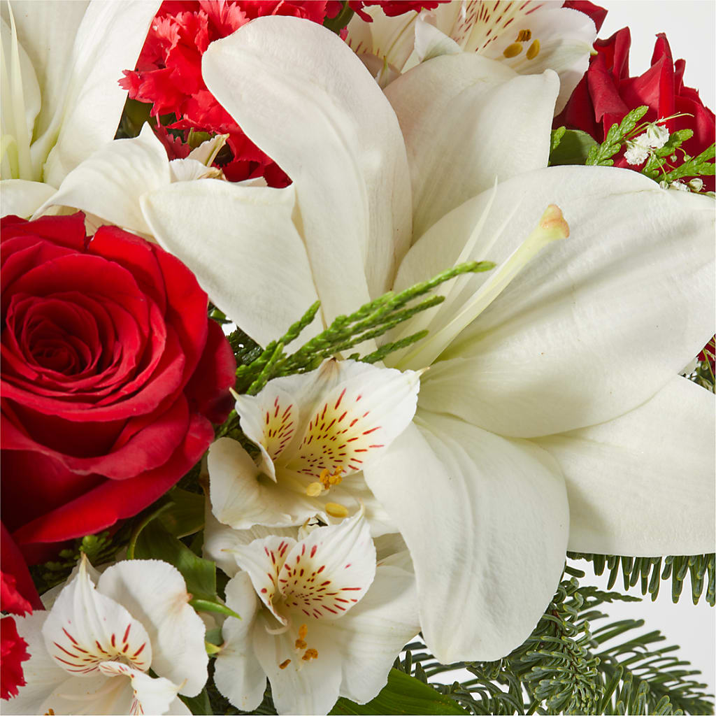 Holiday Season Bouquet –  My Florist, Calgary AB