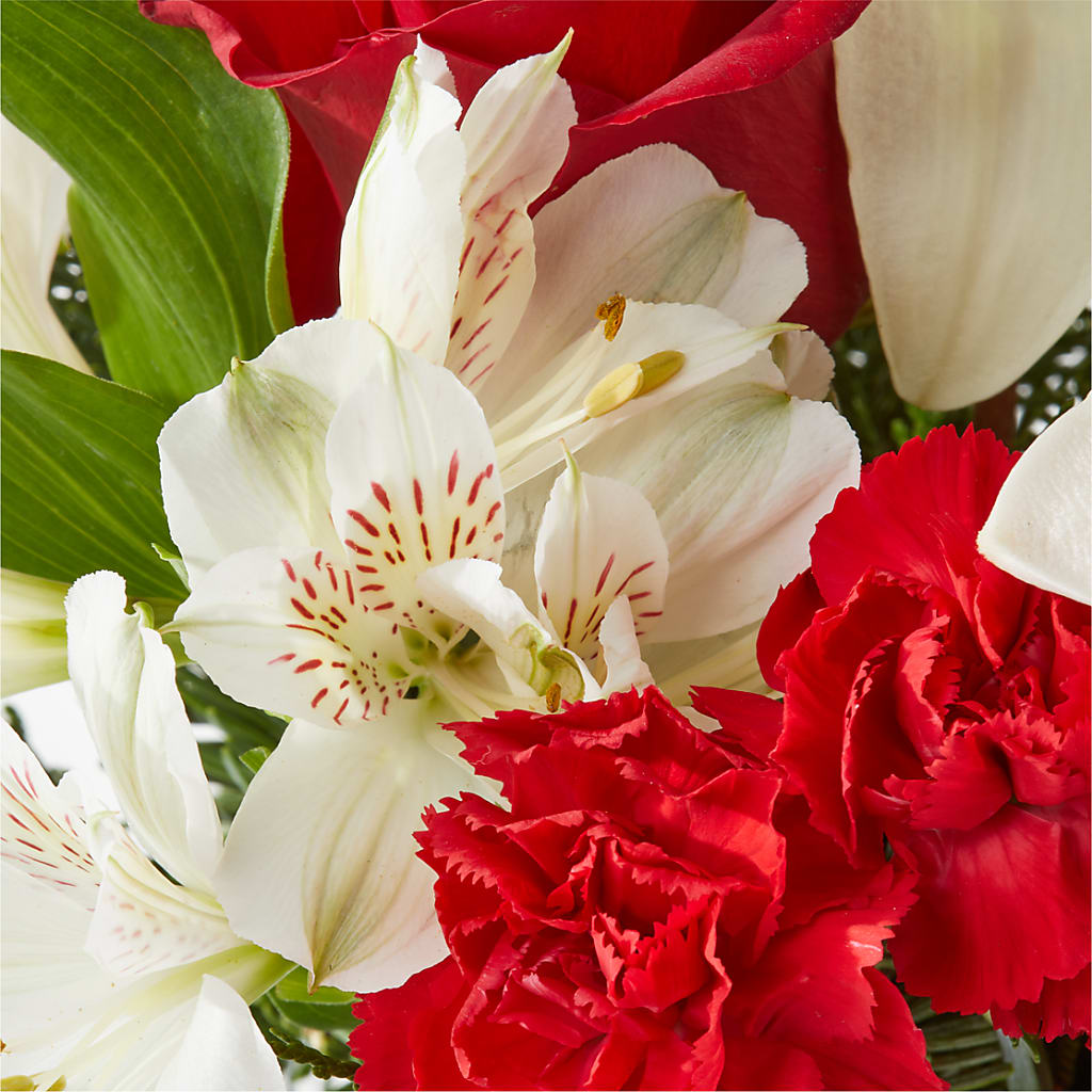 Holiday Season Bouquet –  My Florist, Calgary AB