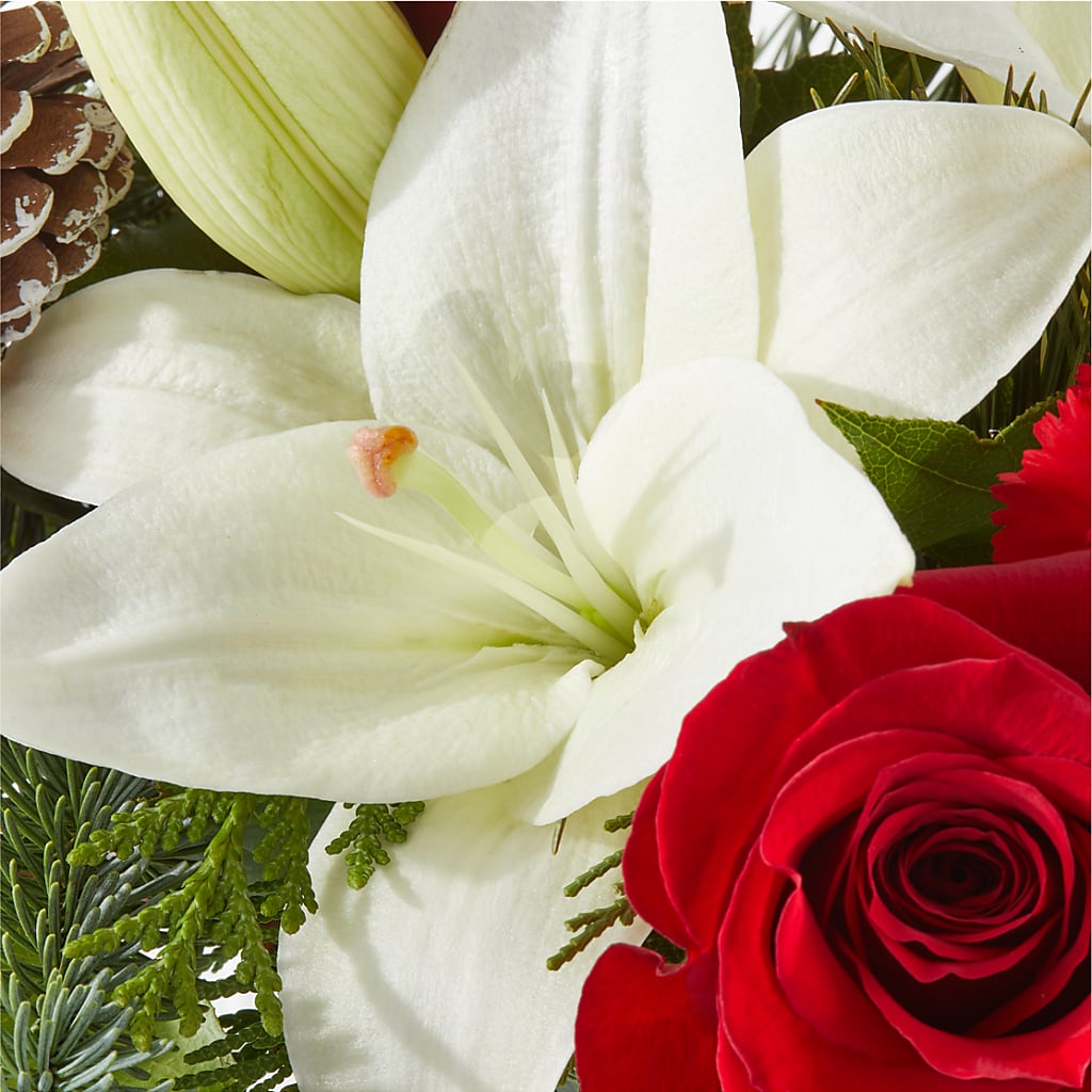 Oh So Jolly Bouquet –  My Florist, Calgary AB