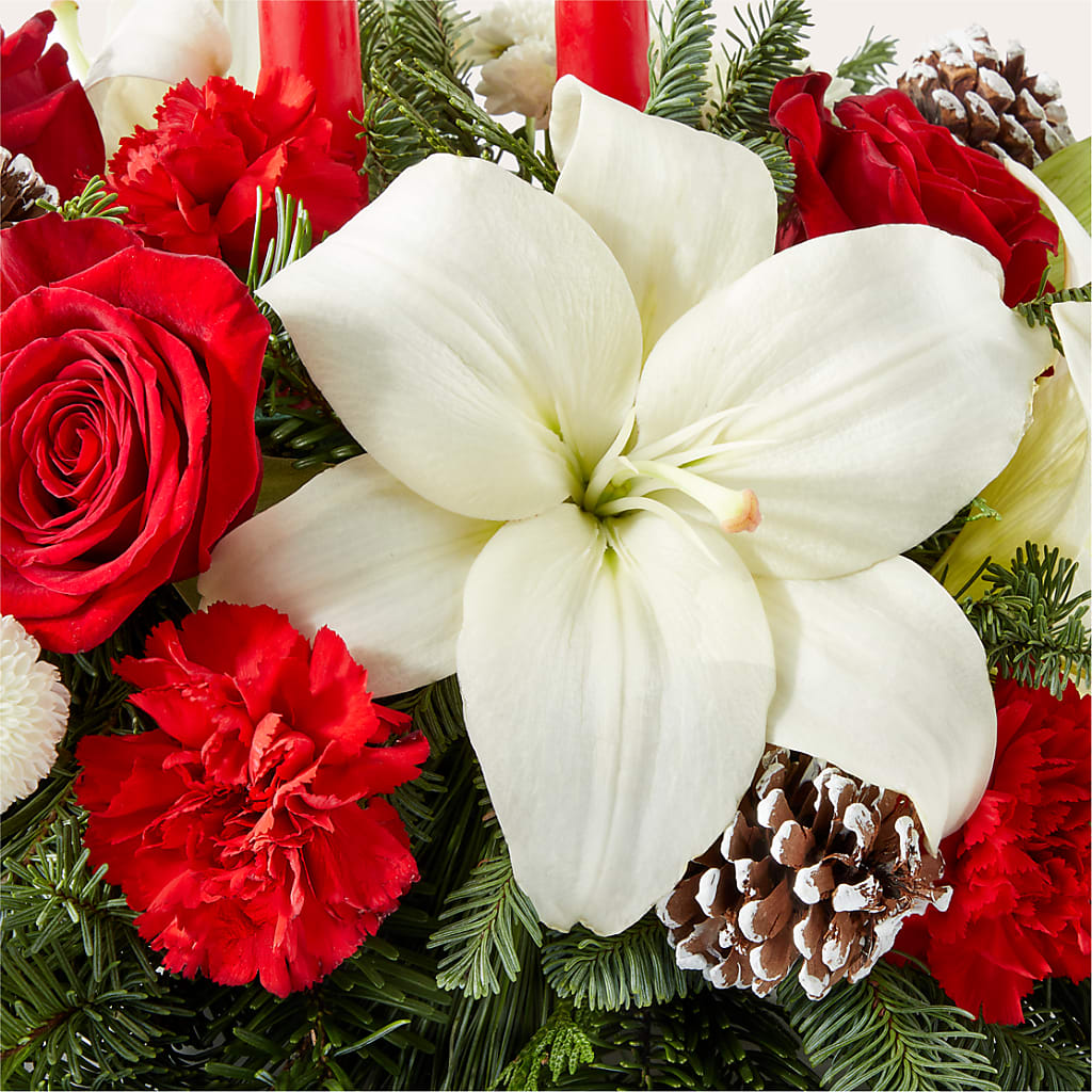 Seasonal Festivities Centerpiece –  My Florist, Calgary AB